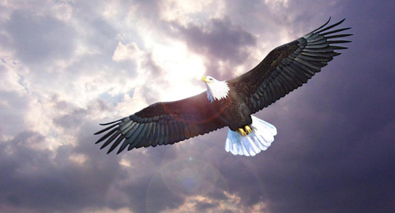 K8·凯发(中国)天生赢家·一触即发