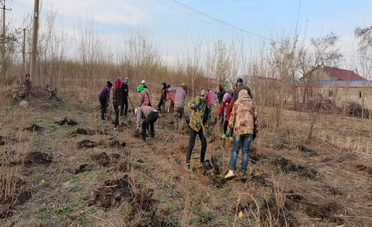 6 园林绿化公司晶双合作社工人辛辛勤作_副本.jpg